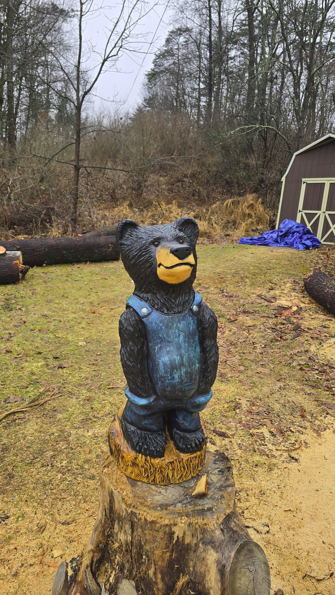 Fun Bear Wearing Overalls in Blue