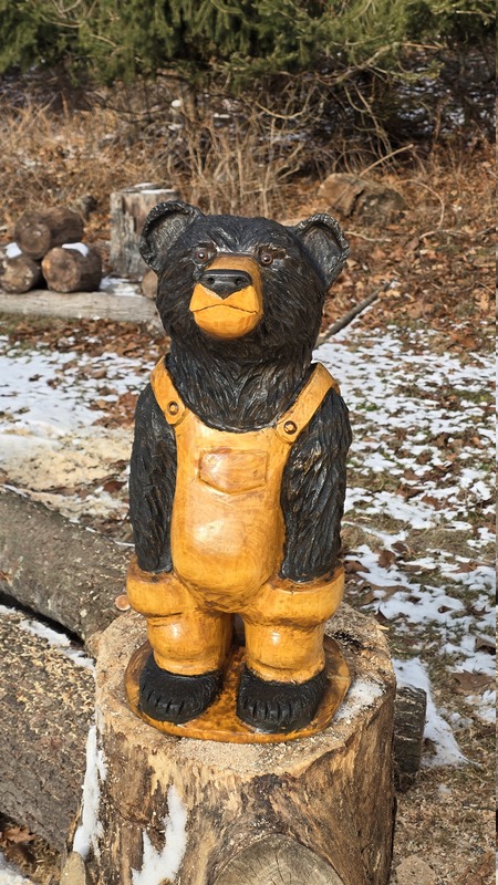 Bear Wearing Overalls