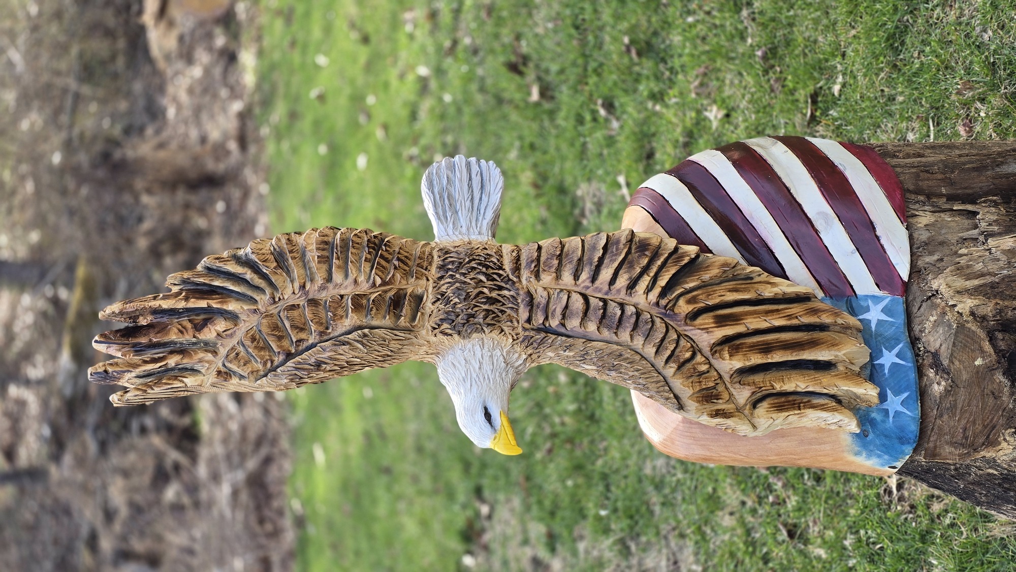 Free Bird! Soaring Eagle