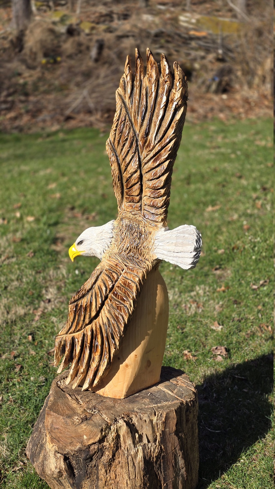 Patriotic Soaring Eagle