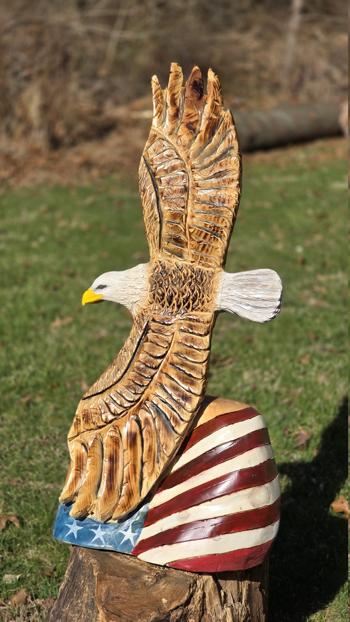 250th Patriotic Soaring Eagle with Flag